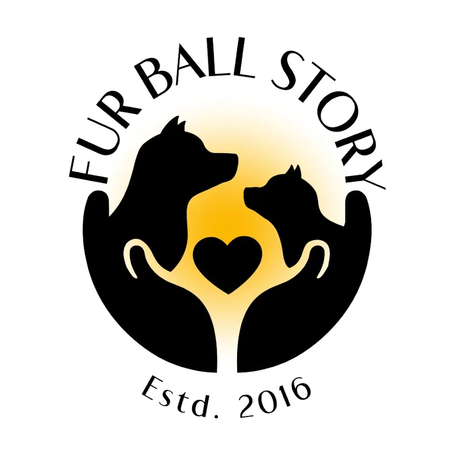 Fur Ball Story