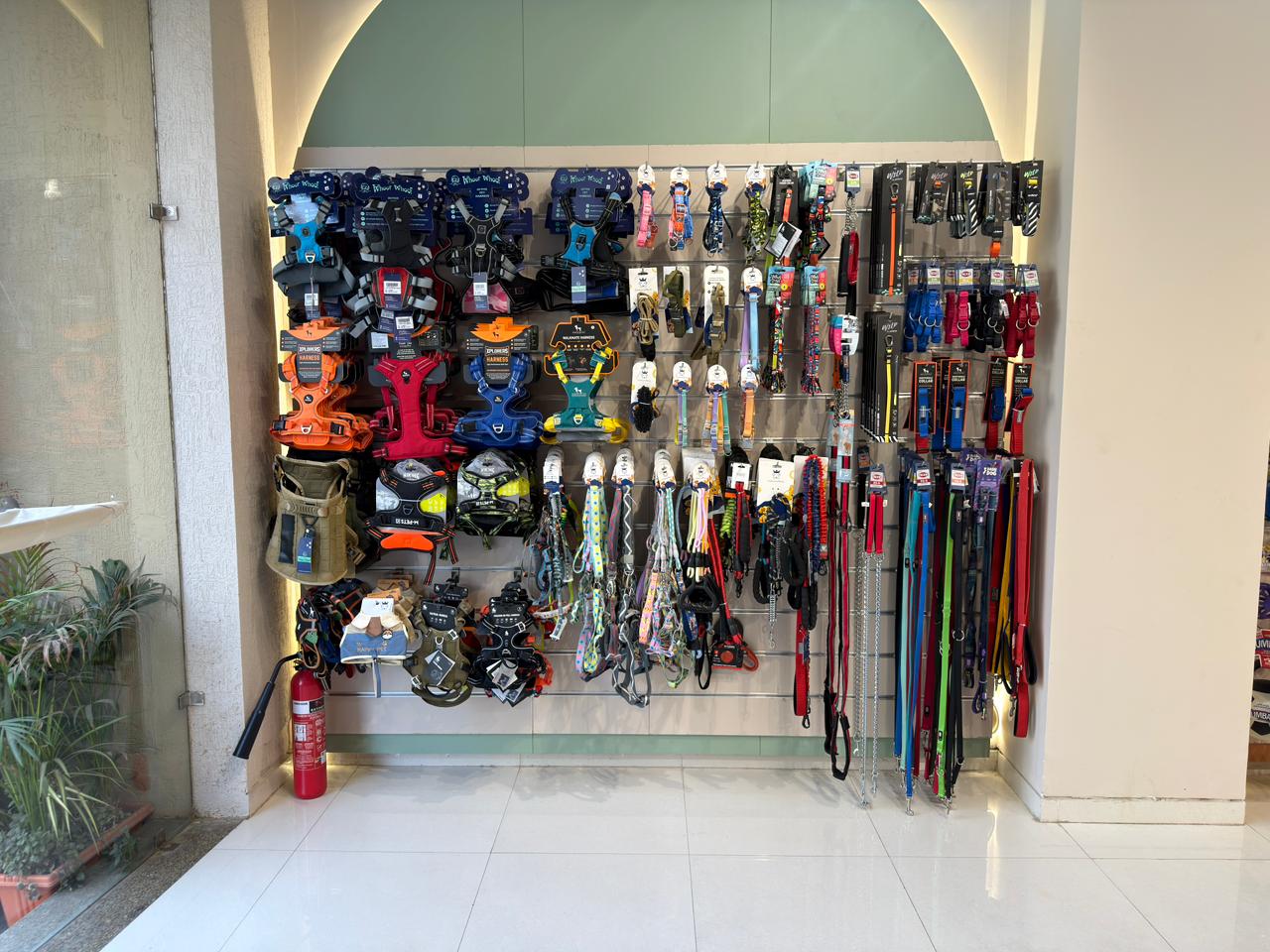 Inside Miou and Wuff Sindhubhavan Road store — photo 4