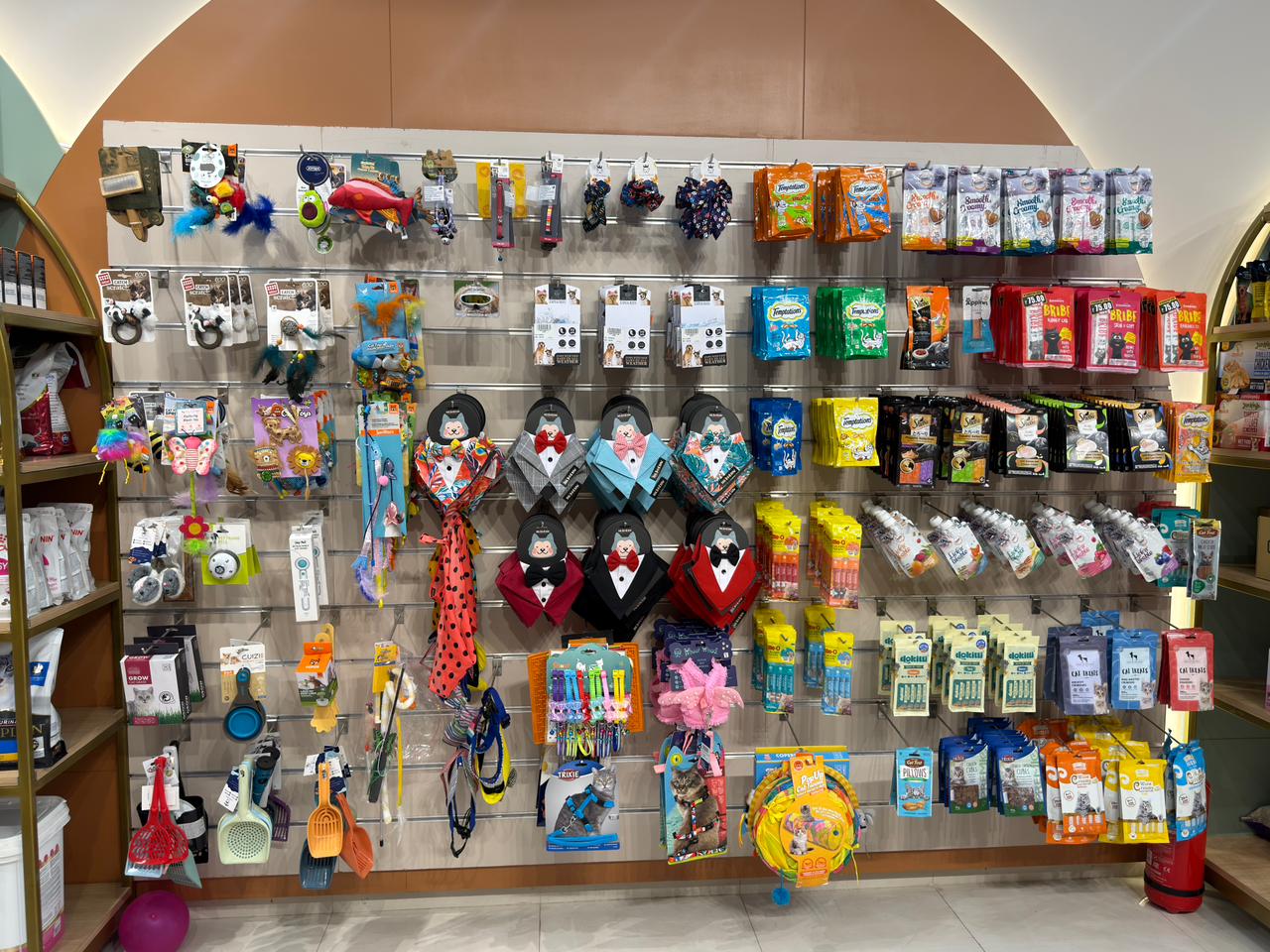 Inside Miou and Wuff South Bopal store — photo 4