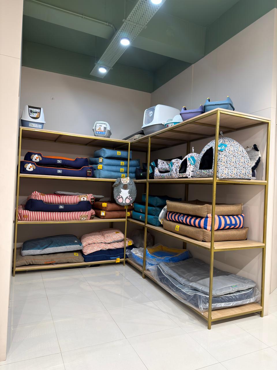 Inside Miou and Wuff South Bopal store — photo 6